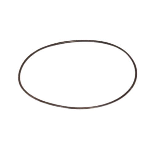 DUAL ELEMENT CH\PUMP O-RING