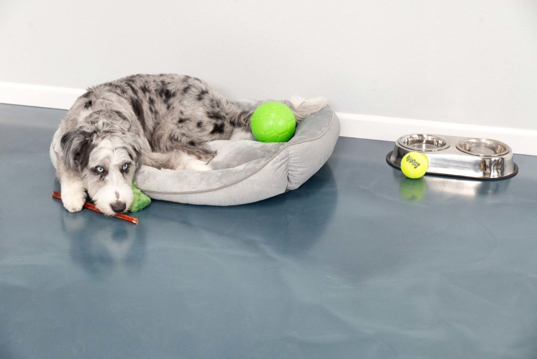 Western Coatings Metallic Pigment- TURQUOISE