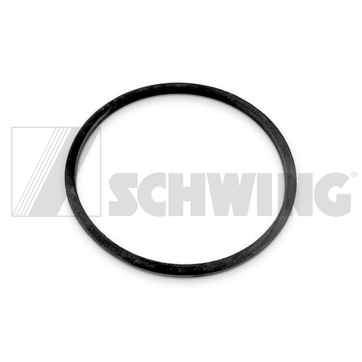 "Schwing Hydraulic Seal DN 180, Part #: 10206184 for industrial systems."
