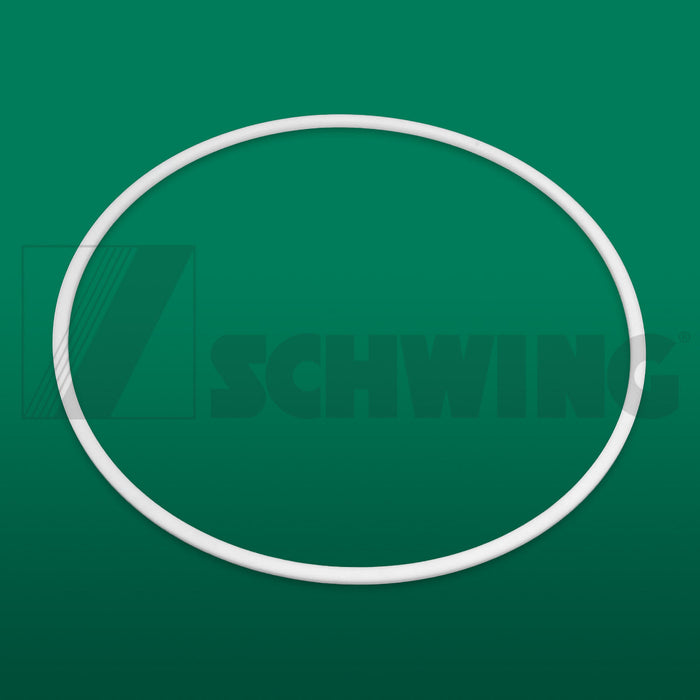 Ring Back-Up 168 X 160 X 2 | Weight: 2 lbs | Dimensions: 170 X 170 X 2 MM | Brand: SCHWING